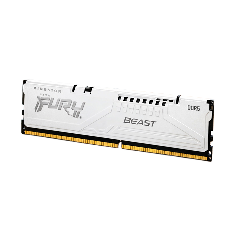 Memoria Kingston Fury Beast 16GB DDR5 5600MHz CL36