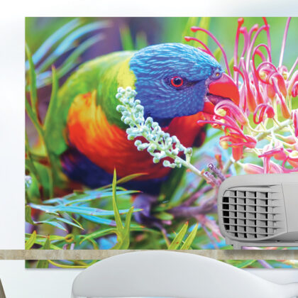Epson PowerLite 119W - Proyector Portátil 3LCD