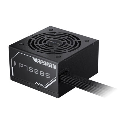 Fuente Gigabyte P750BS 750W 80 Plus Bronze ATX