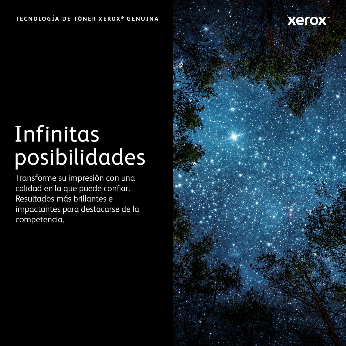 Toner Xerox 006R04381 B310 B315 Negro 20K Páginas - Imagen 2