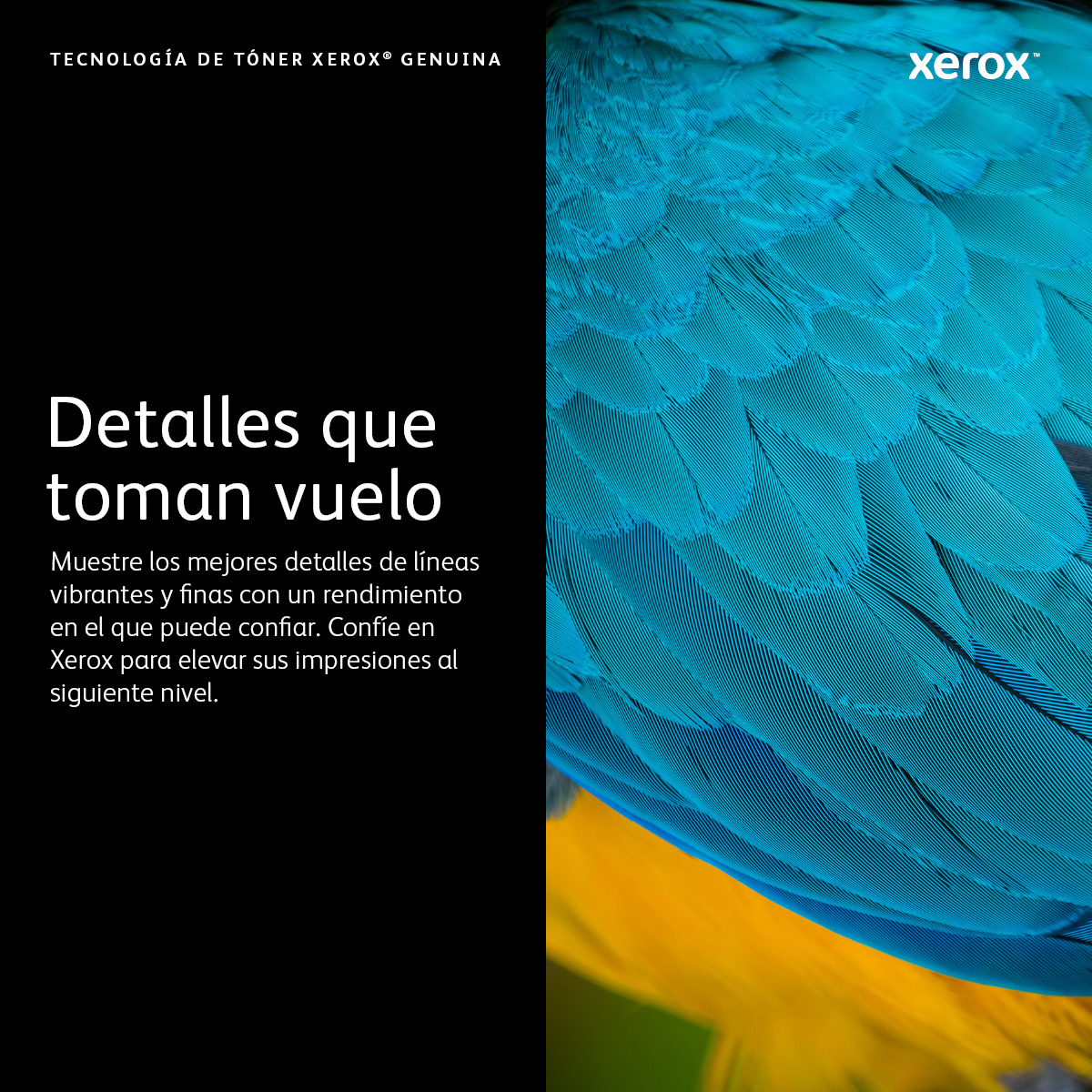 Toner Xerox 006R04381 B310 B315 Negro 20K Páginas - Imagen 3