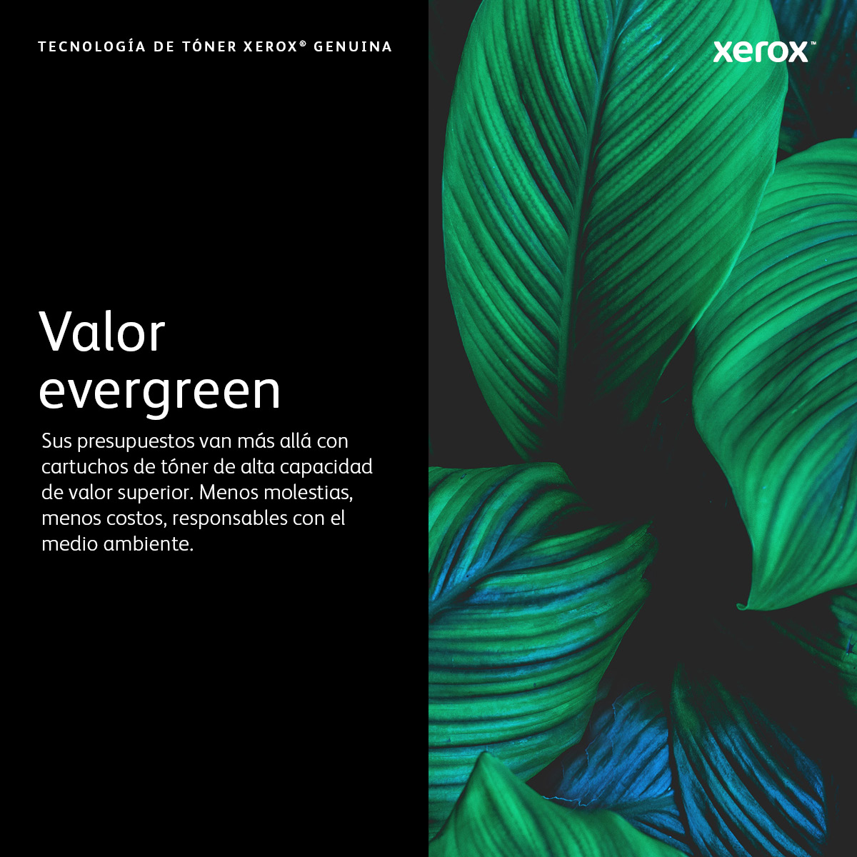 Toner Xerox 006R04381 B310 B315 Negro 20K Páginas - Imagen 6
