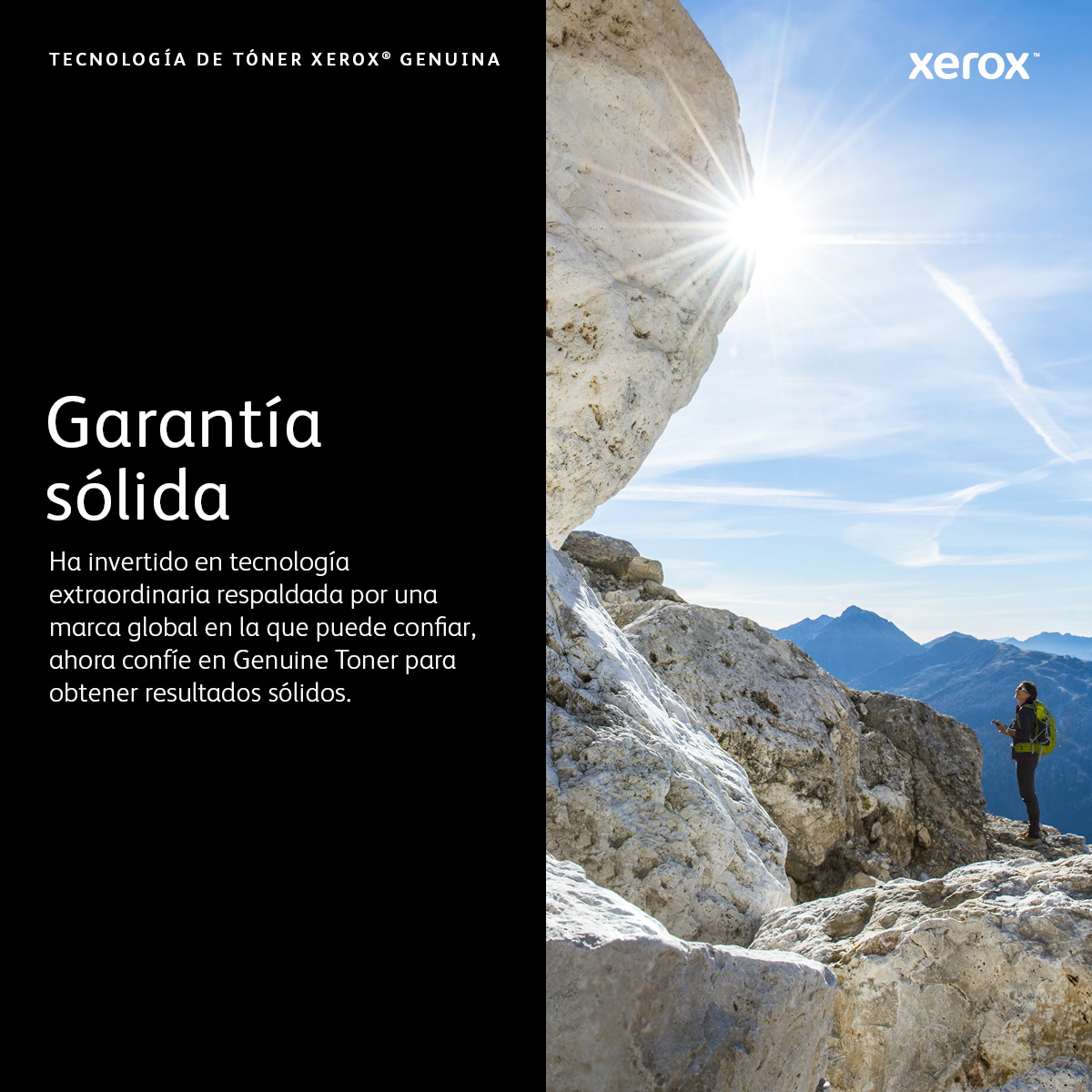 Toner Xerox 006R04381 B310 B315 Negro 20K Páginas - Imagen 5